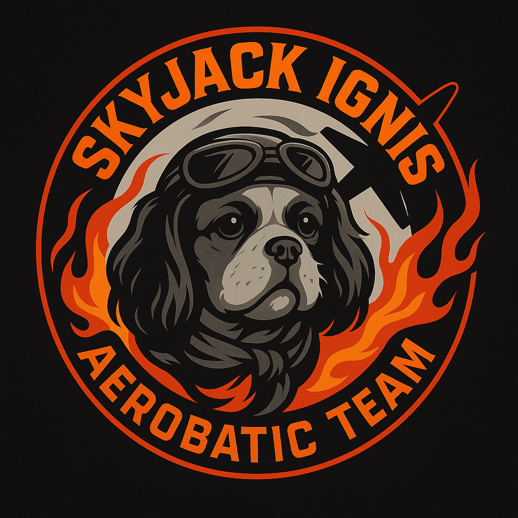 FLYJACK IGNIS AEROBATIC TEAM